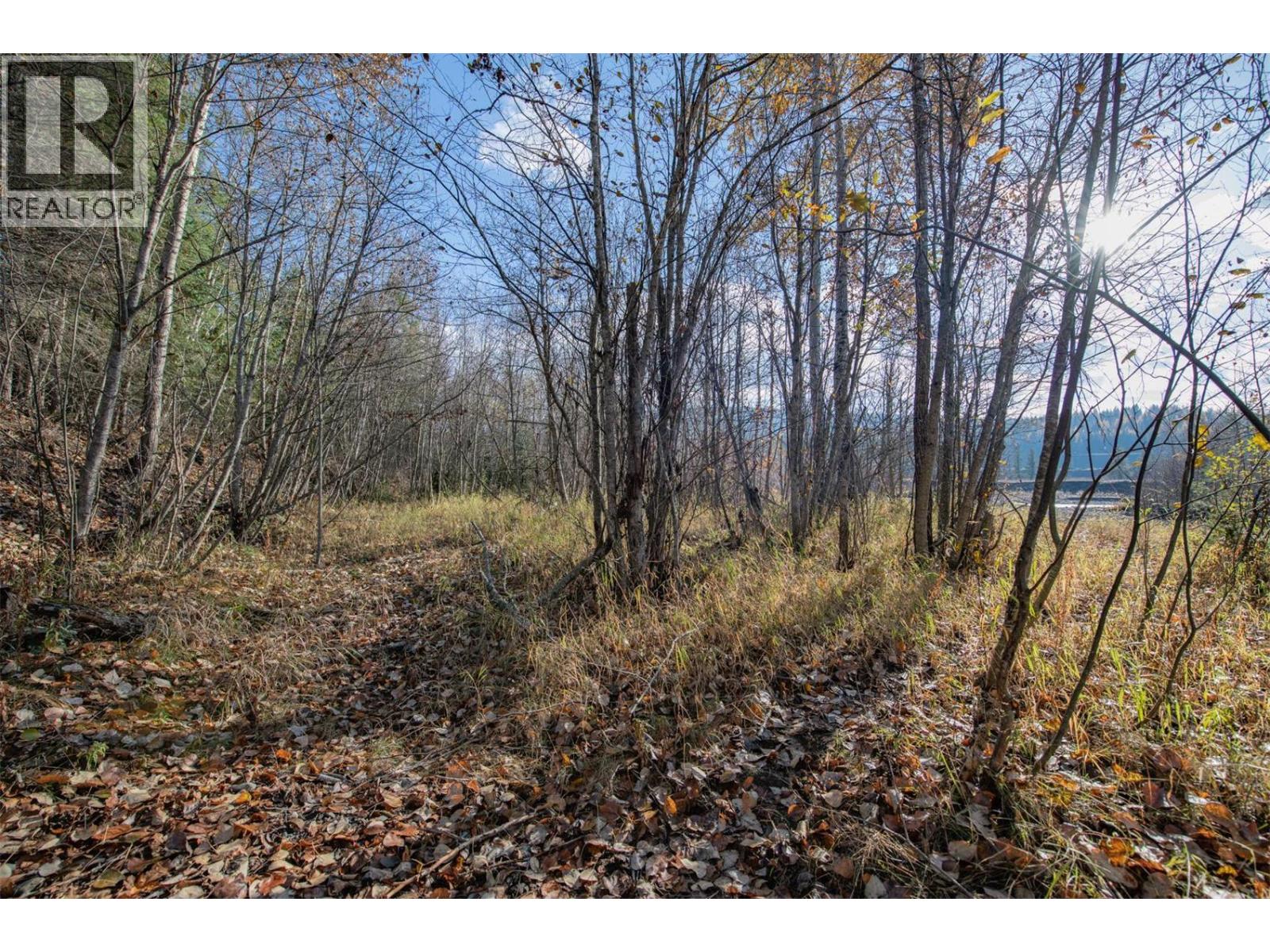 370 Charles Road, Cherryville, British Columbia  V0E 2G3 - Photo 22 - 10374310