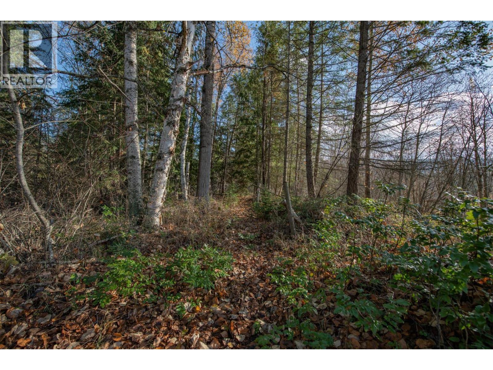 370 Charles Road, Cherryville, British Columbia  V0E 2G3 - Photo 23 - 10374310