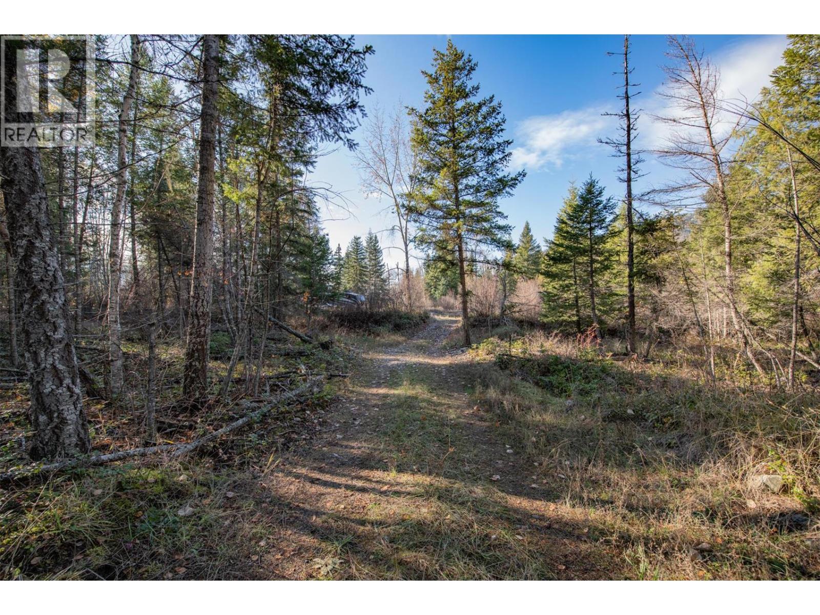 370 Charles Road, Cherryville, British Columbia  V0E 2G3 - Photo 24 - 10374310