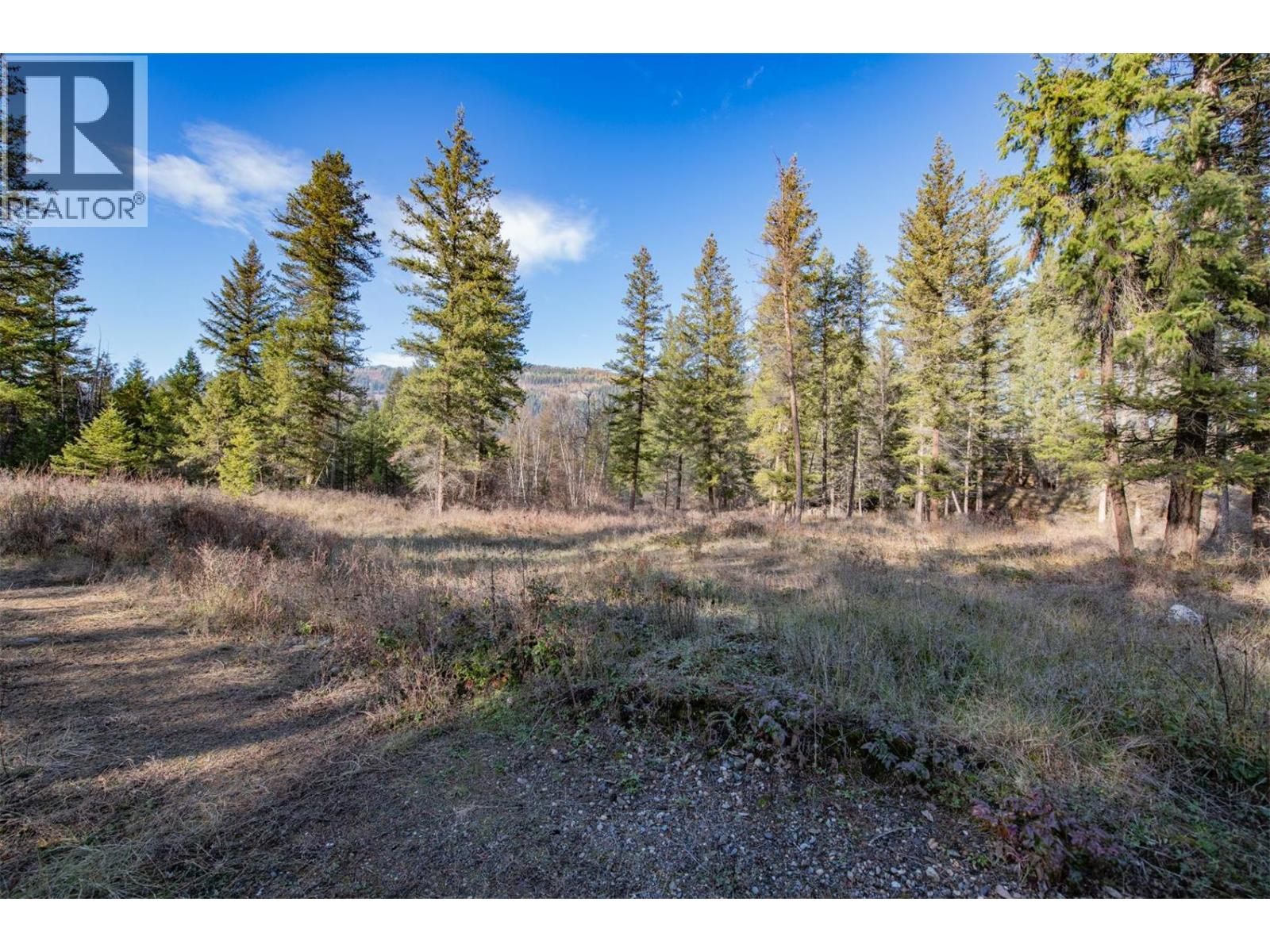 370 Charles Road, Cherryville, British Columbia  V0E 2G3 - Photo 25 - 10374310