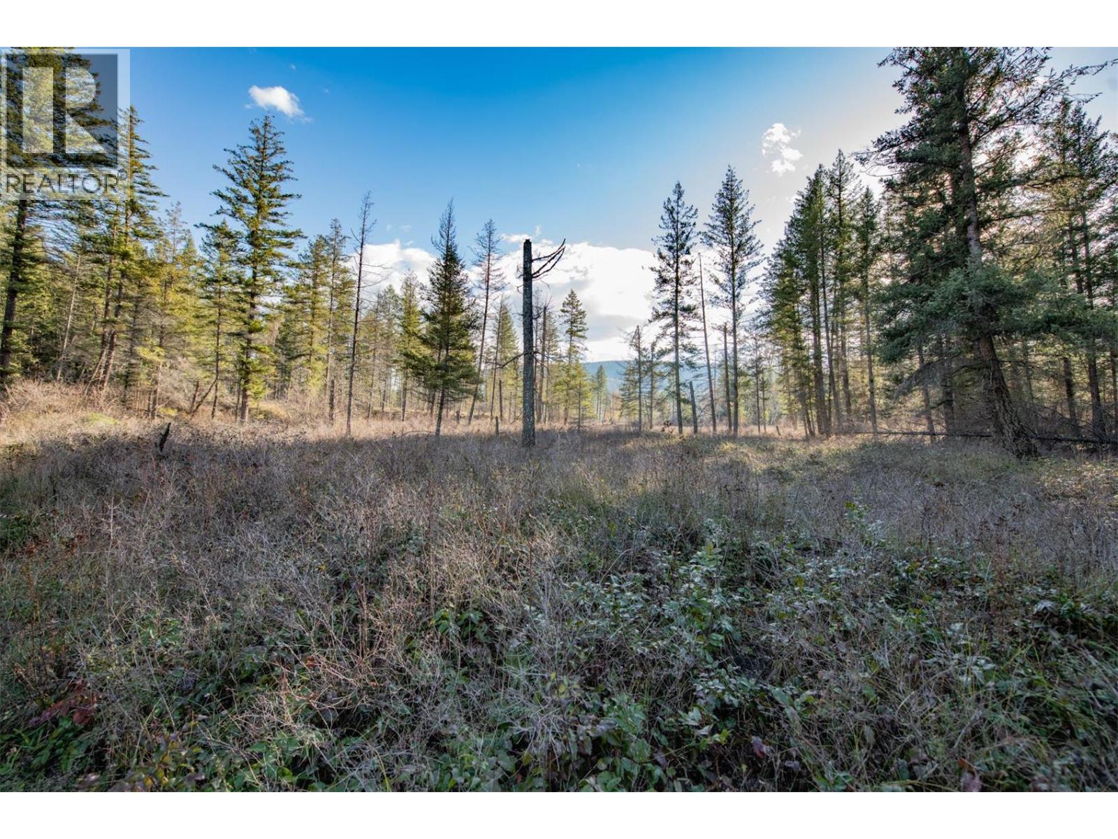 370 Charles Road, Cherryville, British Columbia  V0E 2G3 - Photo 26 - 10374310