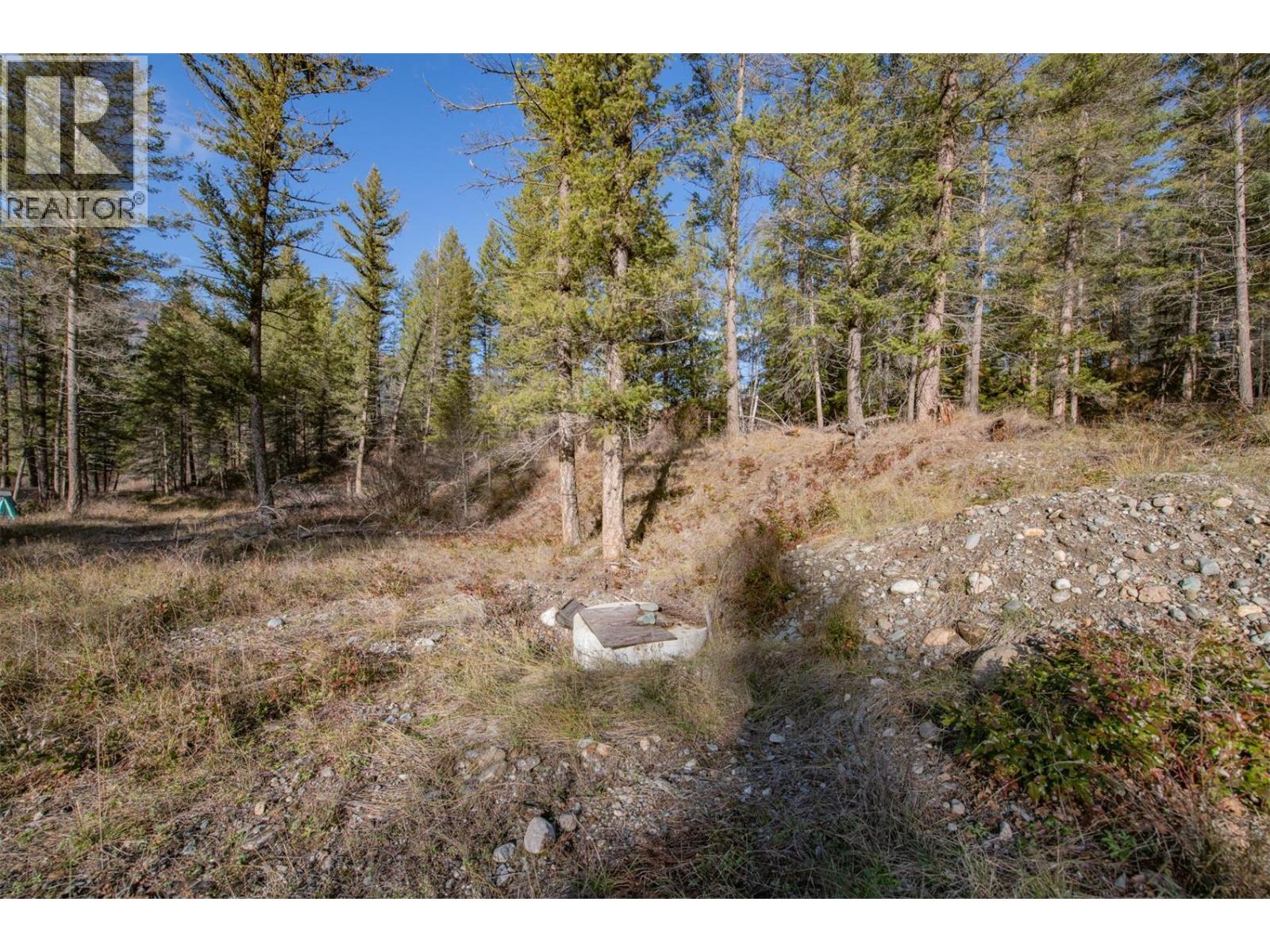 370 Charles Road, Cherryville, British Columbia  V0E 2G3 - Photo 27 - 10374310