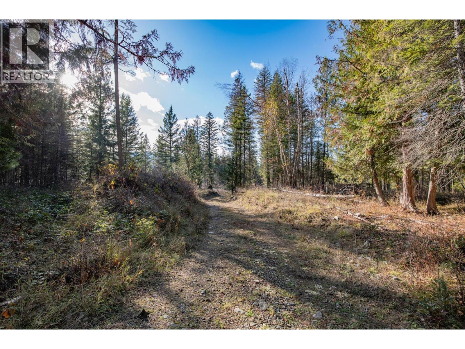 370 Charles Road, Cherryville, British Columbia  V0E 2G3 - Photo 28 - 10374310