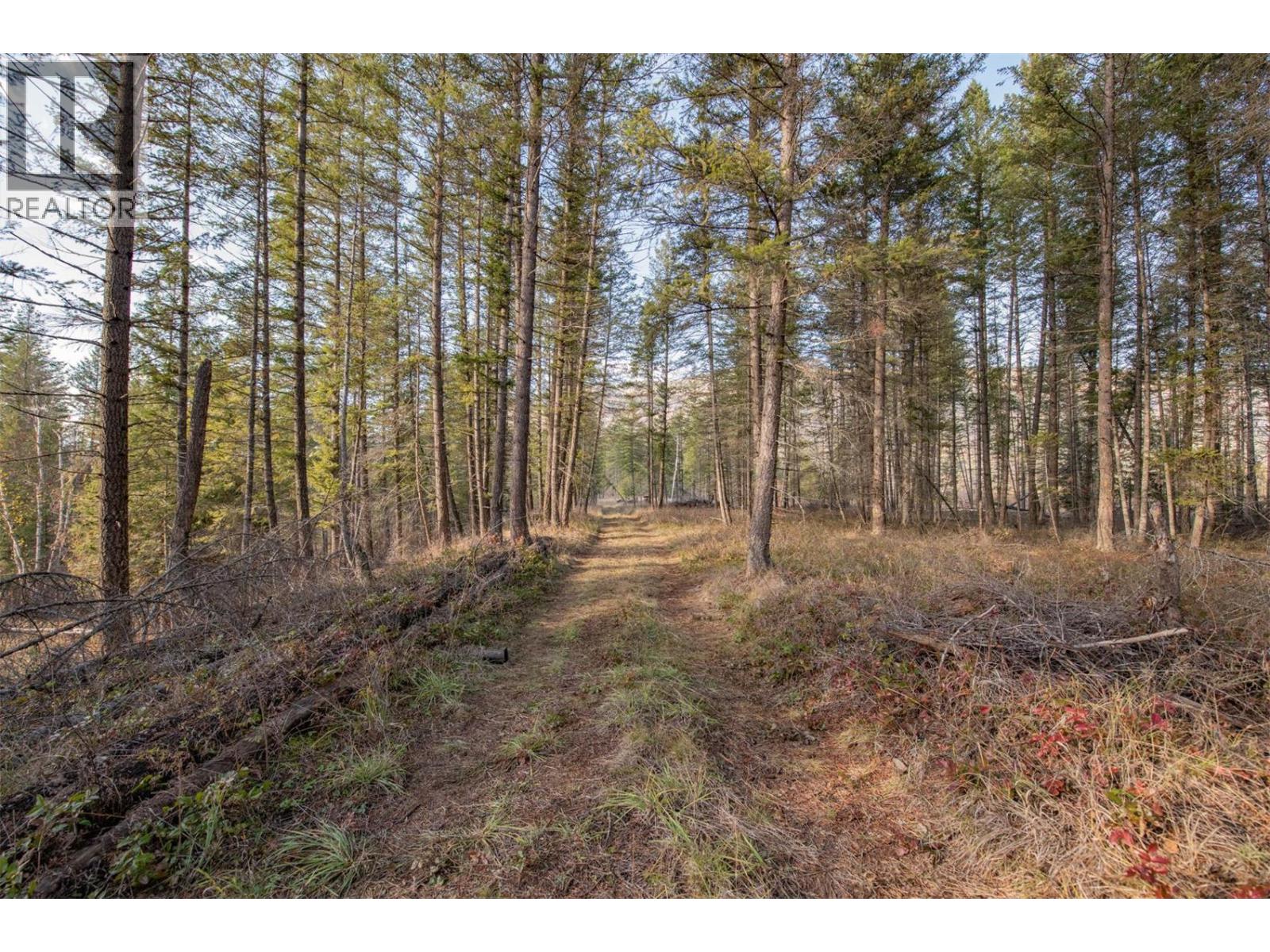 370 Charles Road, Cherryville, British Columbia  V0E 2G3 - Photo 29 - 10374310