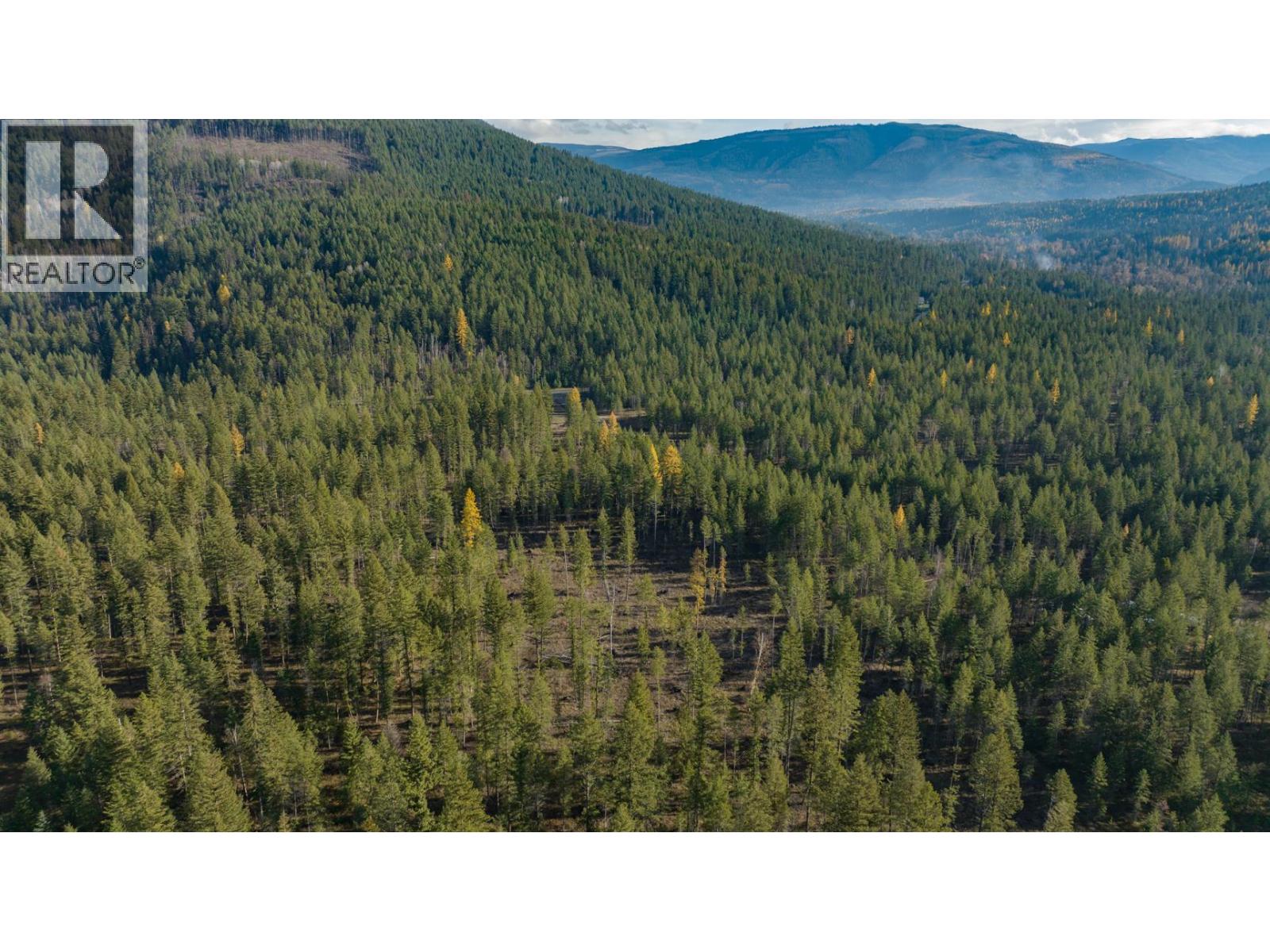 370 Charles Road, Cherryville, British Columbia  V0E 2G3 - Photo 34 - 10374310