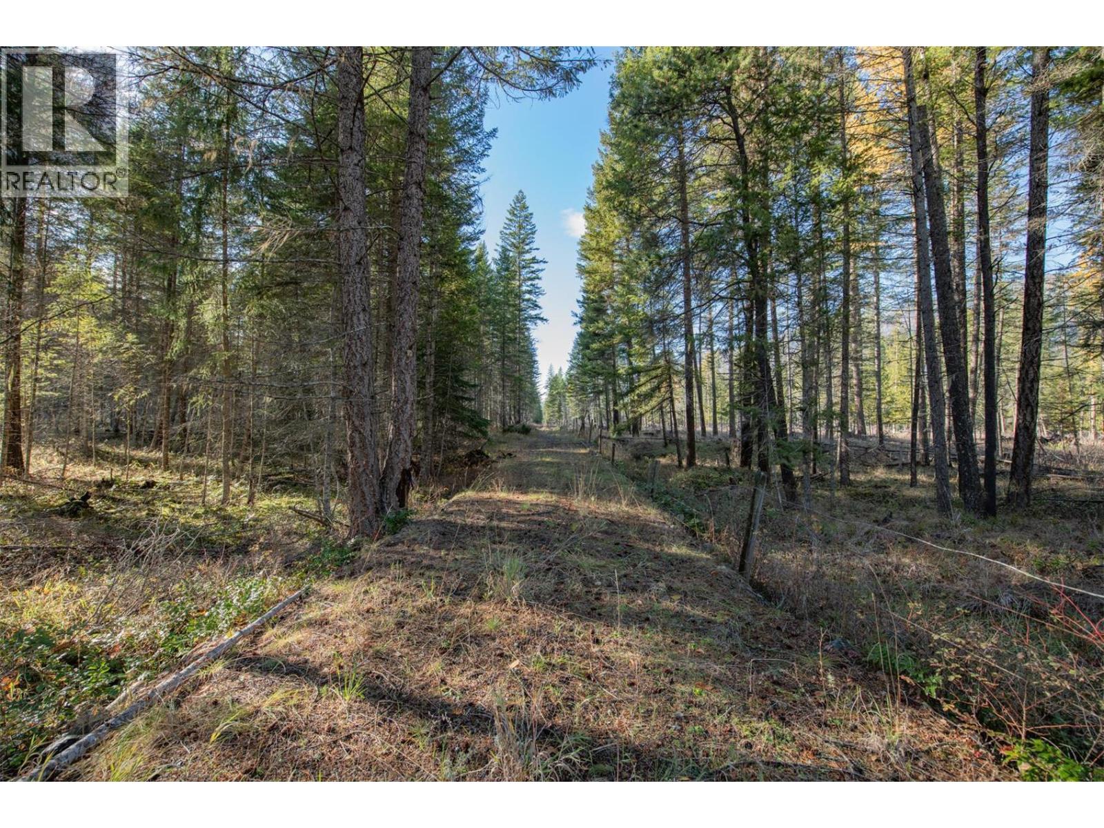 370 Charles Road, Cherryville, British Columbia  V0E 2G3 - Photo 4 - 10374310