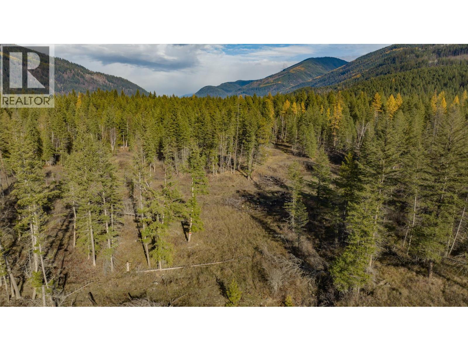 370 Charles Road, Cherryville, British Columbia  V0E 2G3 - Photo 43 - 10374310