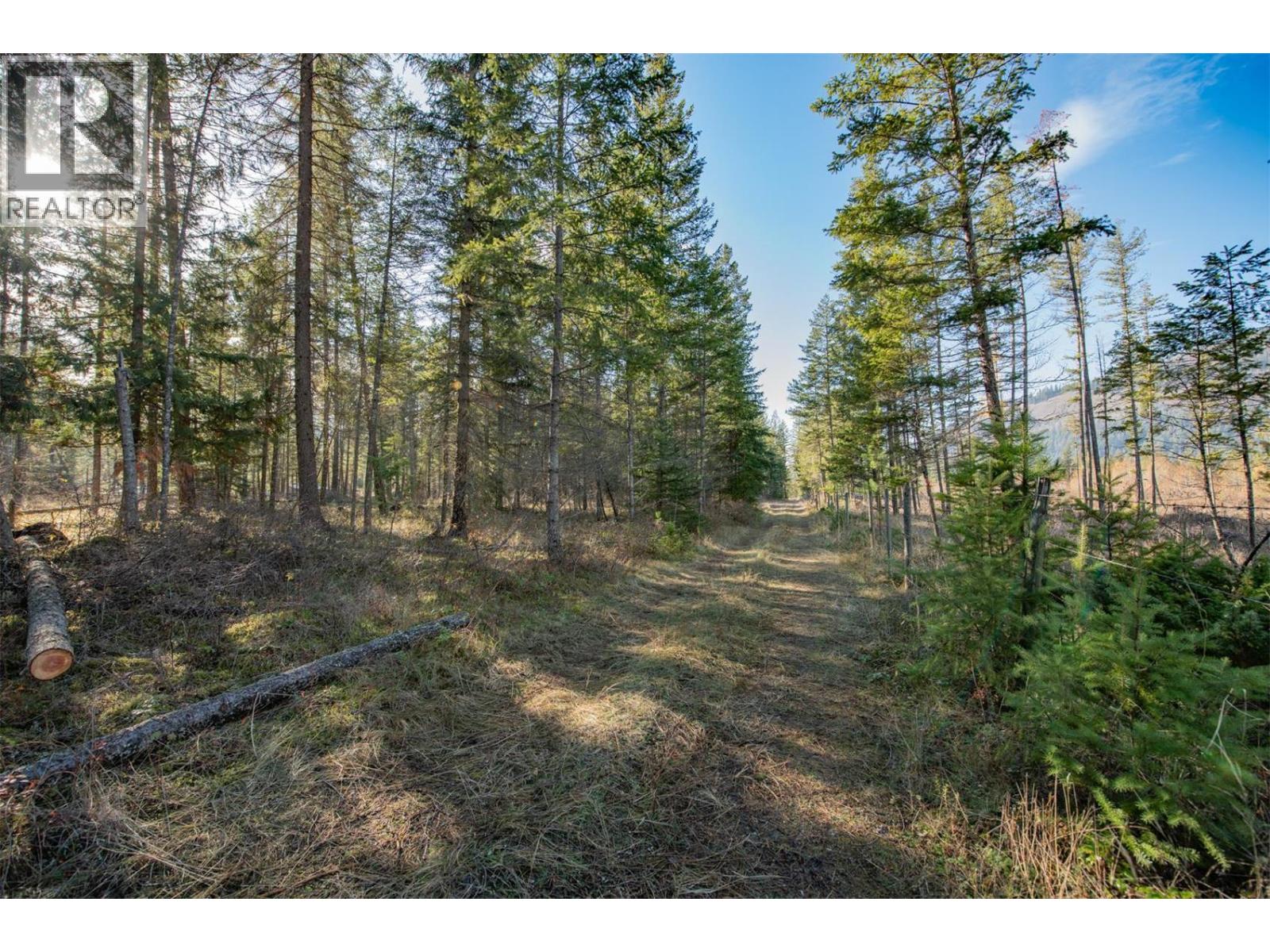 370 Charles Road, Cherryville, British Columbia  V0E 2G3 - Photo 8 - 10374310