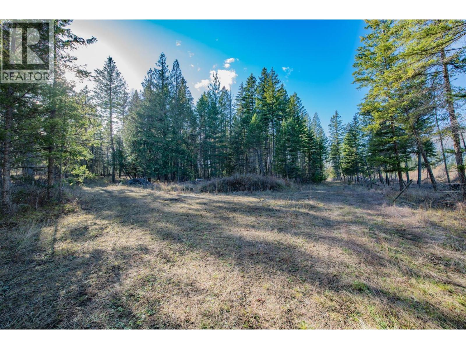 370 Charles Road, Cherryville, British Columbia  V0E 2G3 - Photo 9 - 10374310