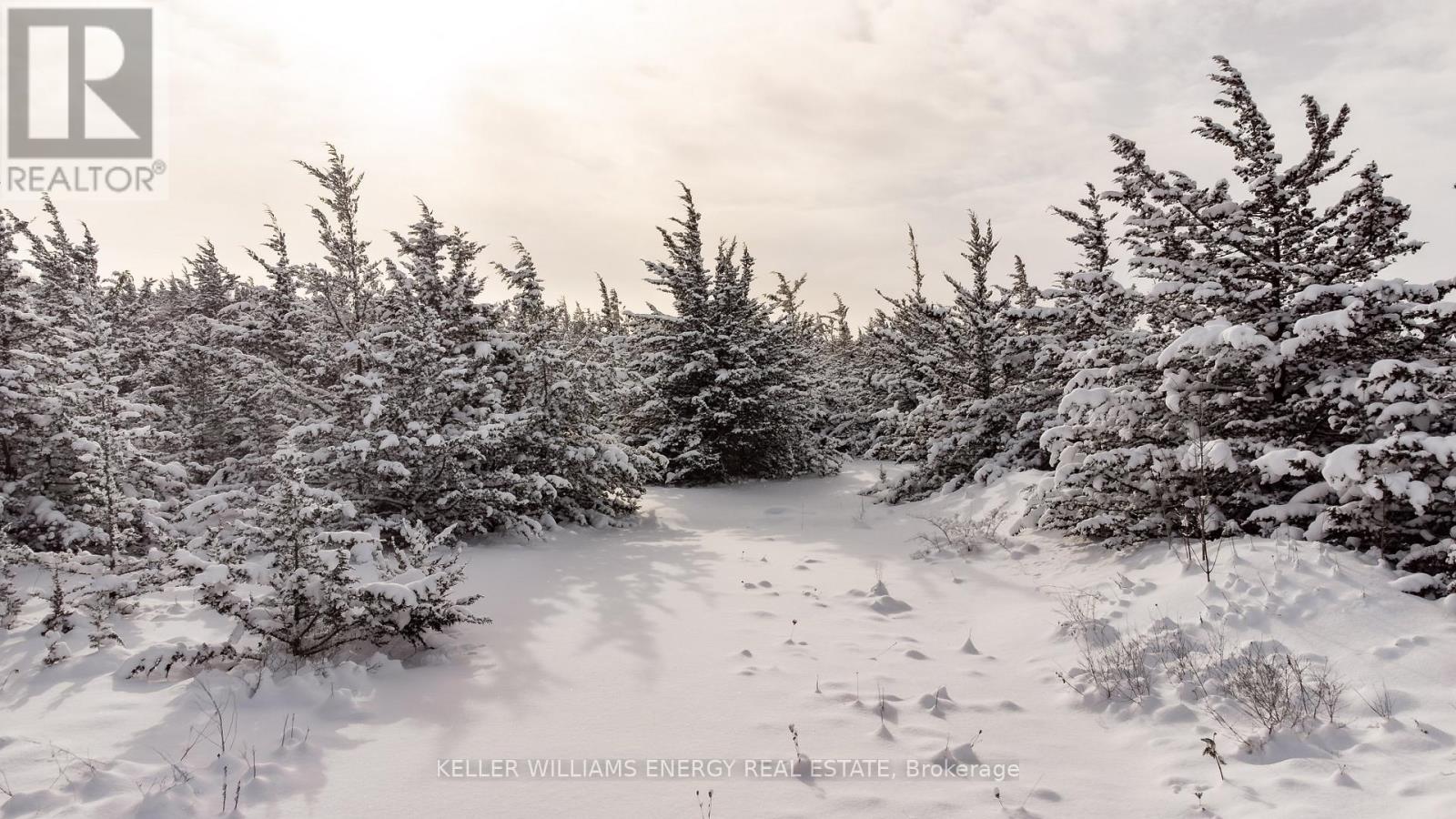 274 Prinyers Cove Crescent, Prince Edward County (North Marysburg Ward), Ontario  K0K 2T0 - Photo 22 - X12750808