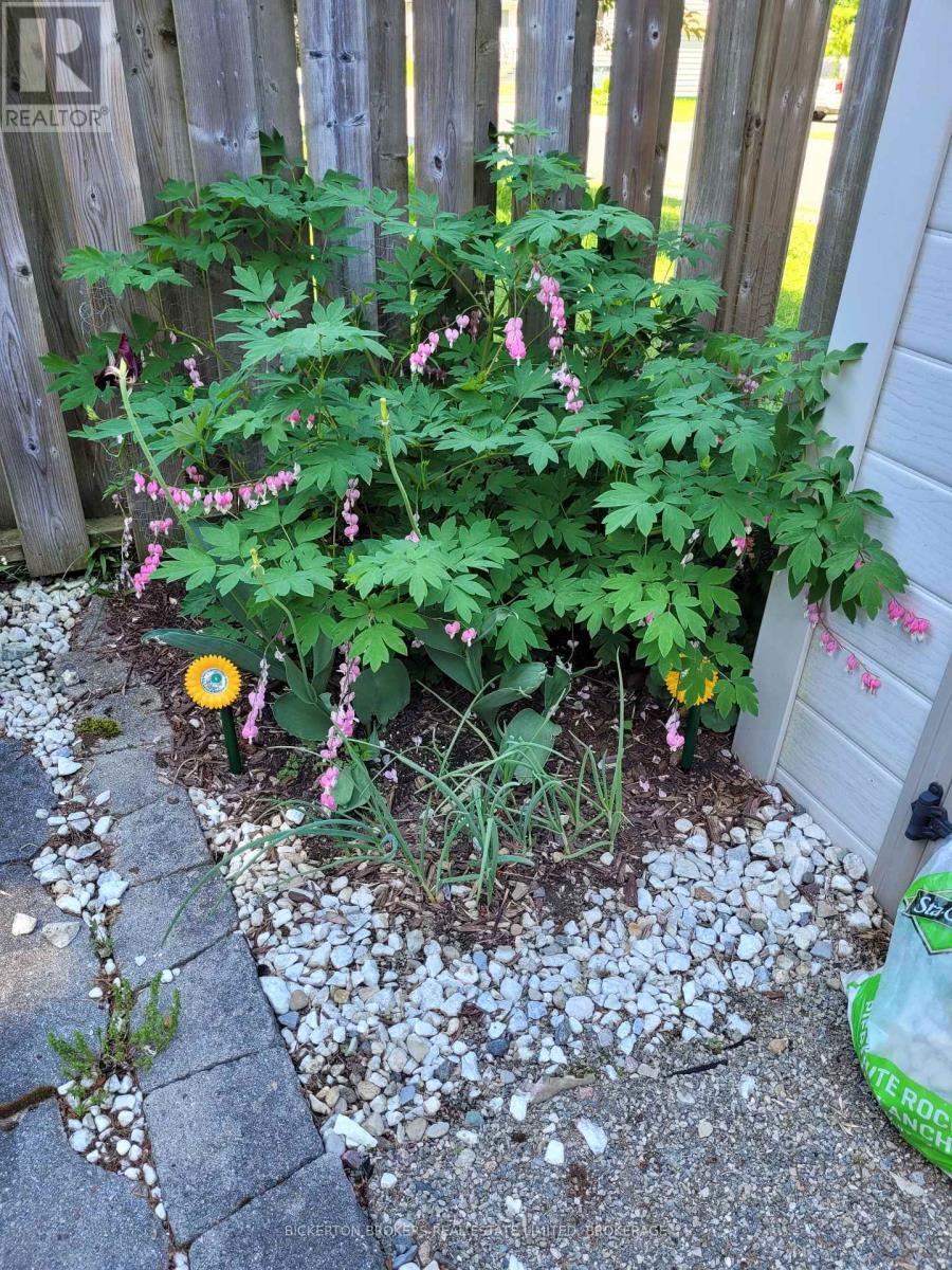 292 William Street N, Gananoque, Ontario  K7G 1S5 - Photo 43 - X12750748