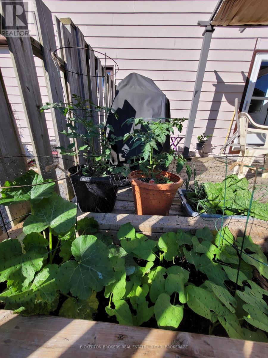 292 William Street N, Gananoque, Ontario  K7G 1S5 - Photo 45 - X12750748