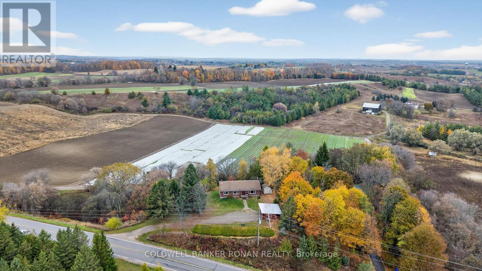 6976 2nd Line, New Tecumseth, Ontario  L0G 1W0 - Photo 4 - N12750788