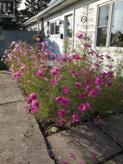 248 Cemetery Road, Gananoque, Ontario  K7G 1V7 - Photo 39 - X12740596