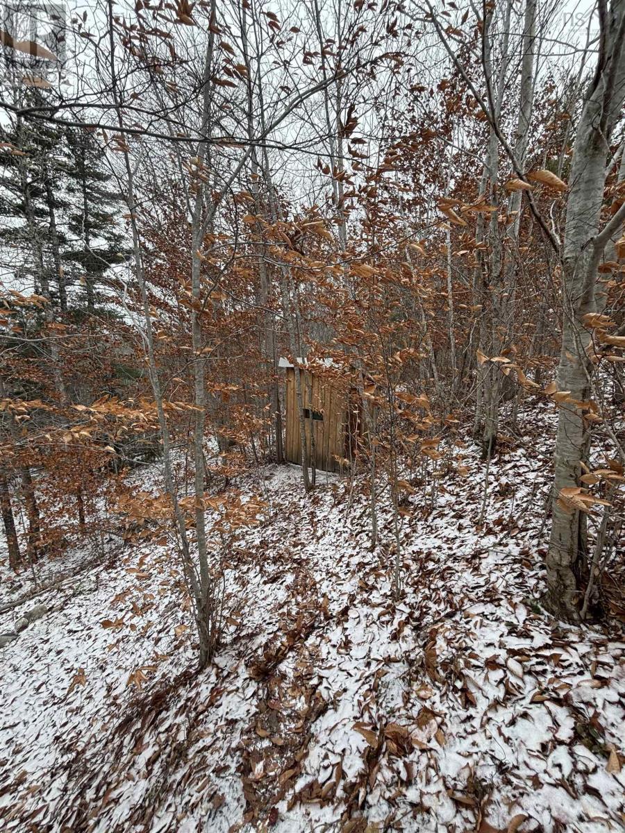 8215 Highway 8, South Brookfield, Nova Scotia  B0T 1X0 - Photo 44 - 202601915