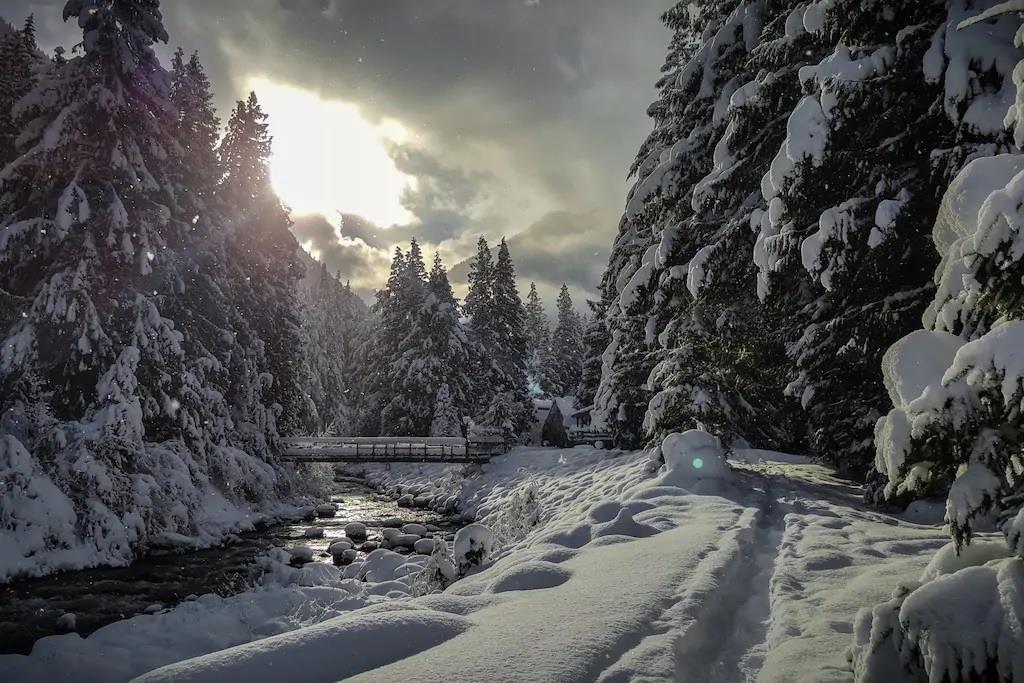 70911 Old Hope Princeton Highway, Sunshine Valley, Sunshine Valley, British Columbia  V0X 1L5 - Photo 5 - R3085573