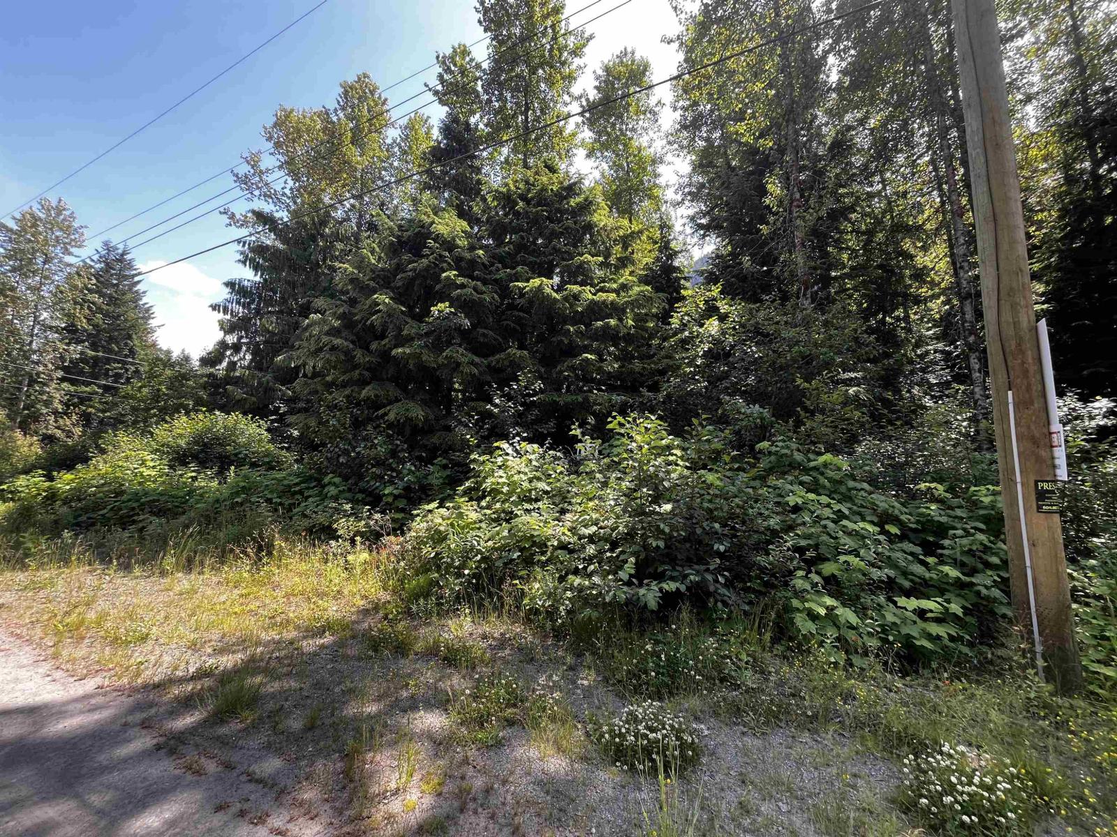 70911 Old Hope Princeton Highway, Sunshine Valley, Sunshine Valley, British Columbia  V0X 1L5 - Photo 2 - R3085573