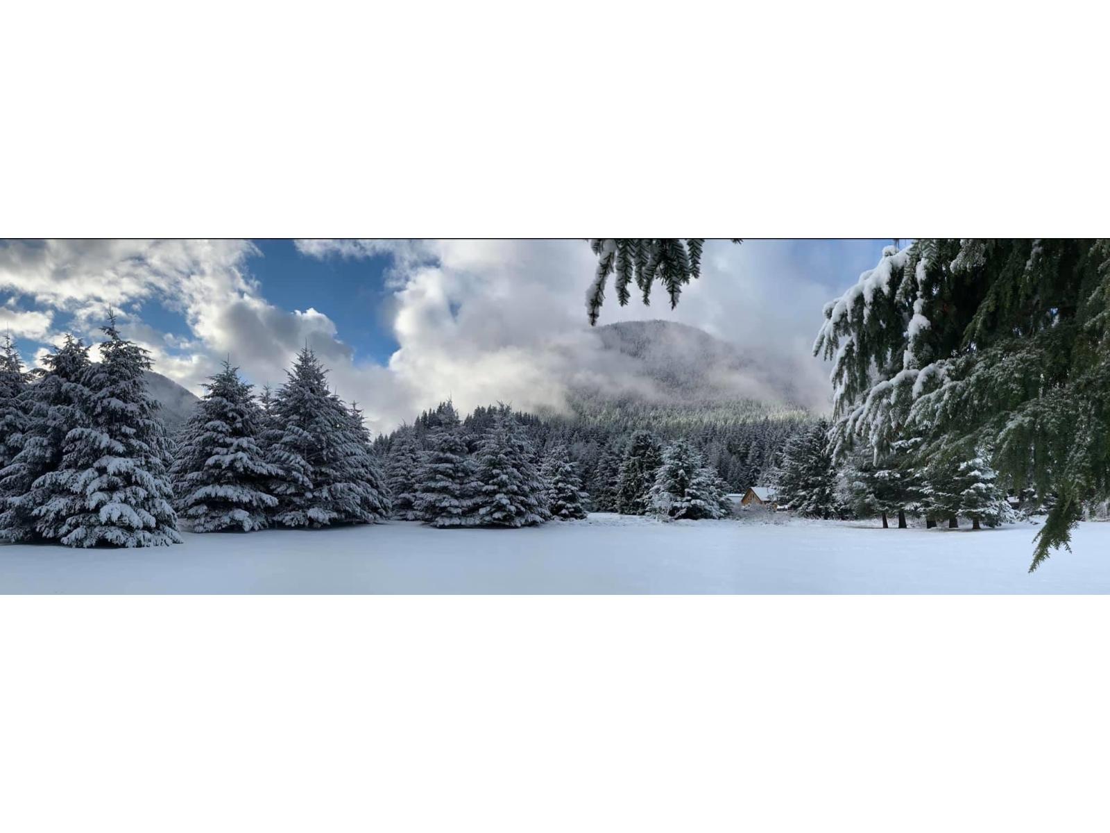 70911 Old Hope Princeton Highway, Sunshine Valley, Sunshine Valley, British Columbia  V0X 1L5 - Photo 29 - R3085573