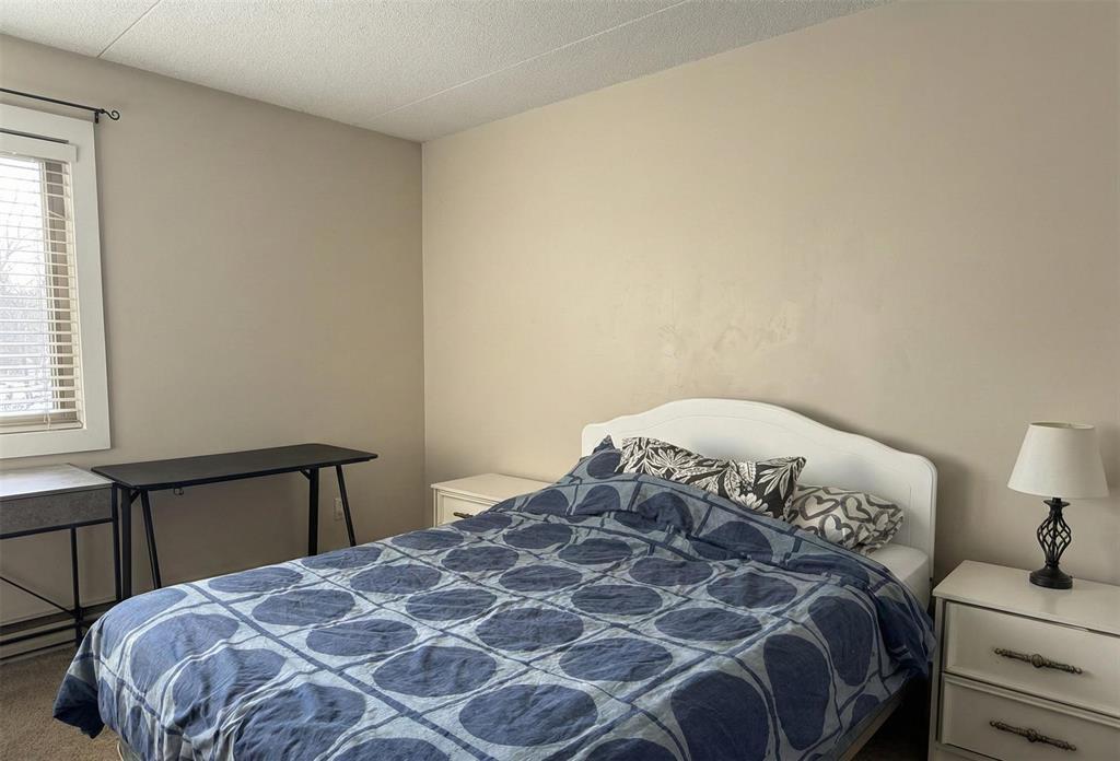 7 134 Regis Drive, Winnipeg, Manitoba  R2N 1K3 - Photo 4 - 202601841