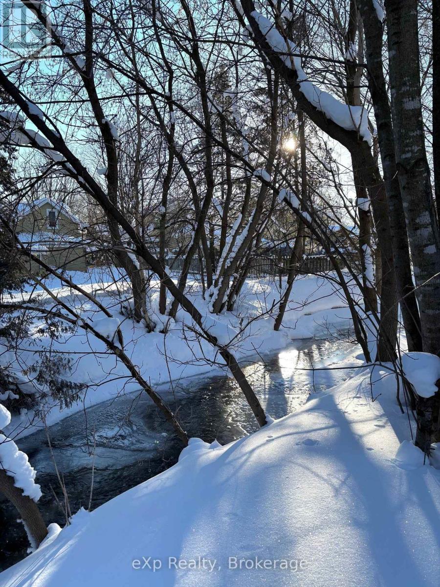 111 Huron Street, Brockton, Ontario  N0G 2V0 - Photo 29 - X12750902