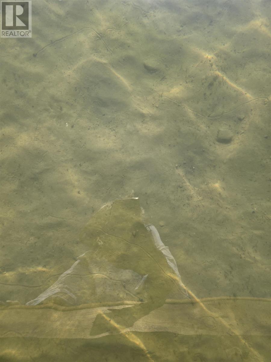 1141 Adcock Dr, Jocelyn, Ontario  P0R 1G0 - Photo 8 - SM260208