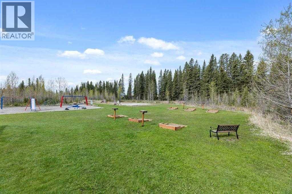 111 & 112, 200 4 Avenue Sw, Sundre, Alberta  T0M 1X0 - Photo 22 - A2236098