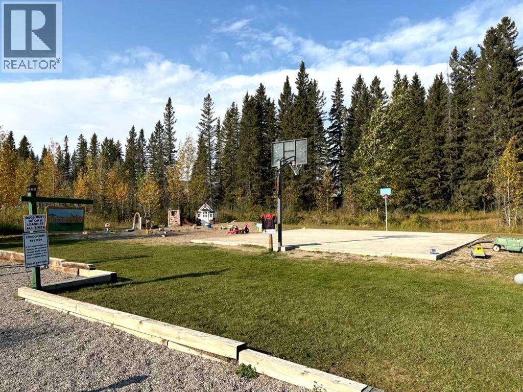 112, 200 4 Avenue Sw, Sundre, Alberta  T0M 1X0 - Photo 5 - A2261314