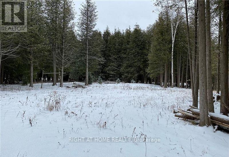 3 Oriole Avenue, South Bruce Peninsula, Ontario  N0H 2T0 - Photo 4 - X12742132