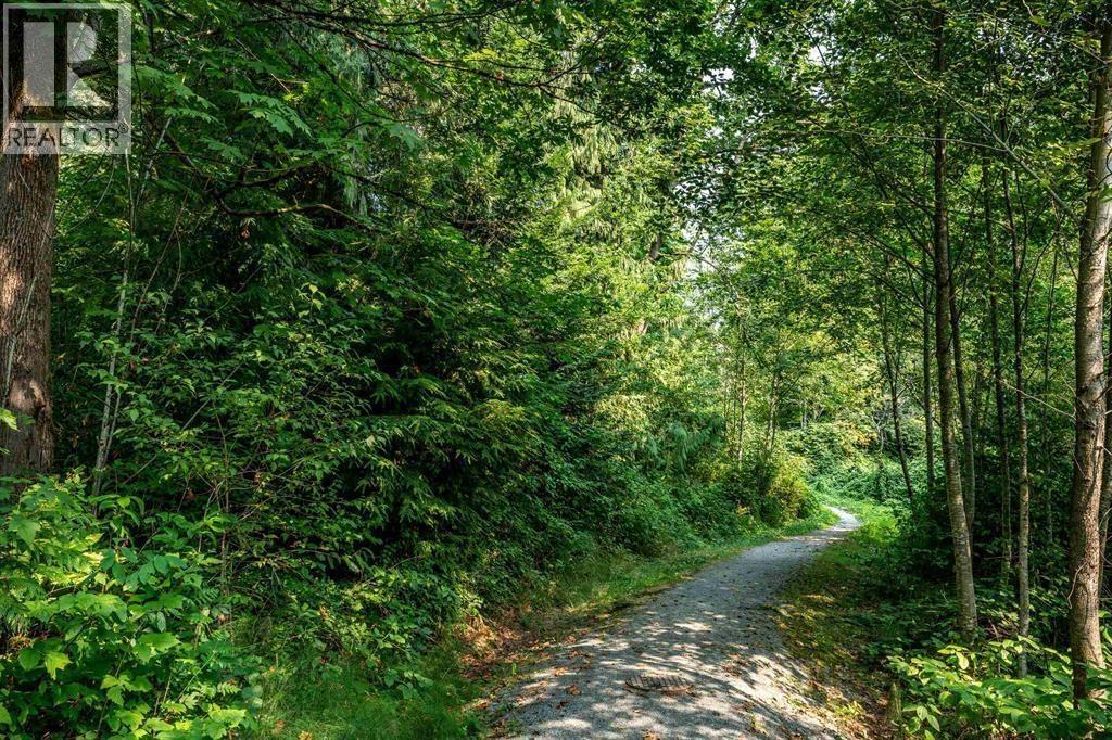 24254 103 Avenue, Maple Ridge, British Columbia  V2W 1Y1 - Photo 36 - R3085424