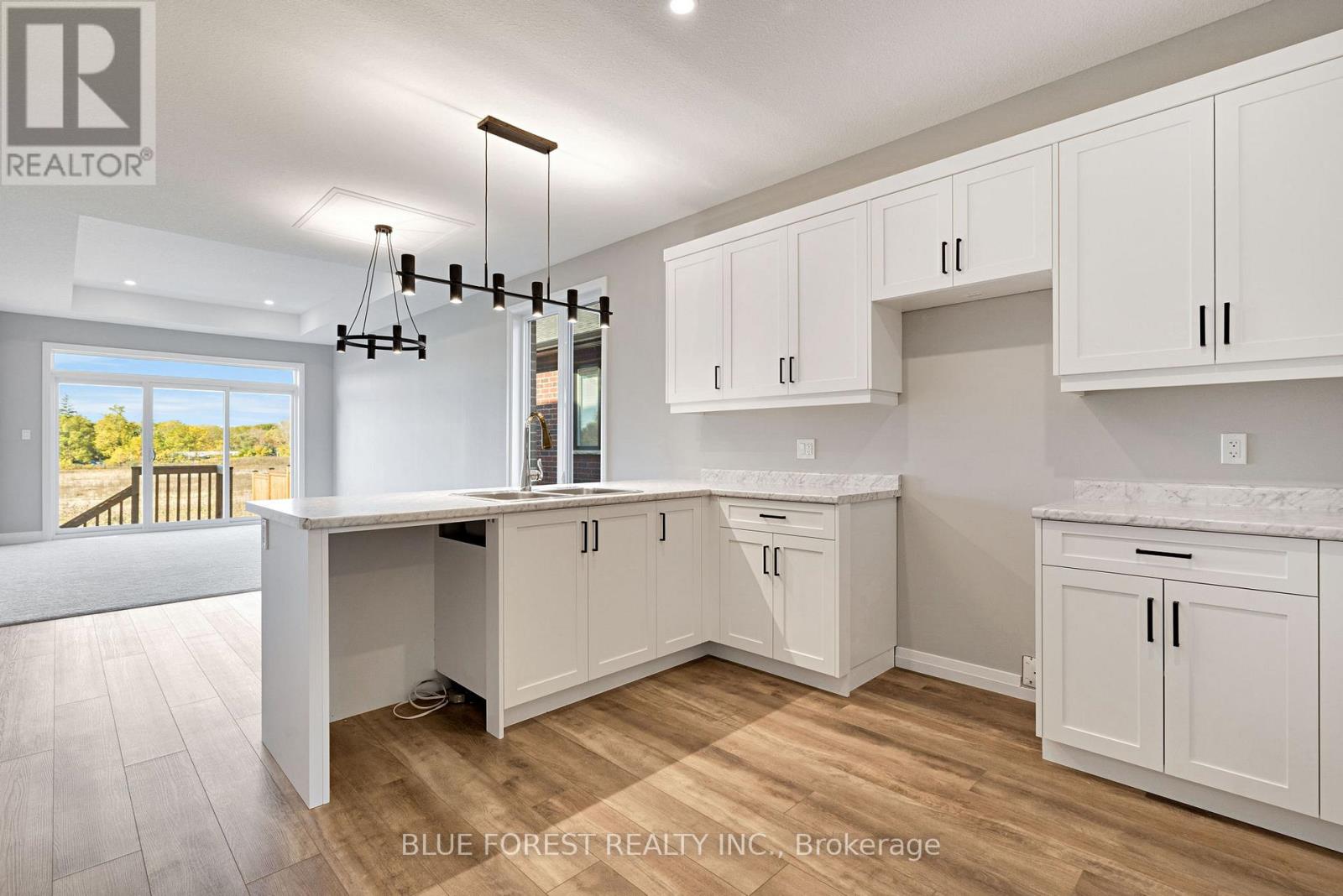 142 Shirley Street, Thames Centre, Ontario  N0M 2P0 - Photo 4 - X12751250