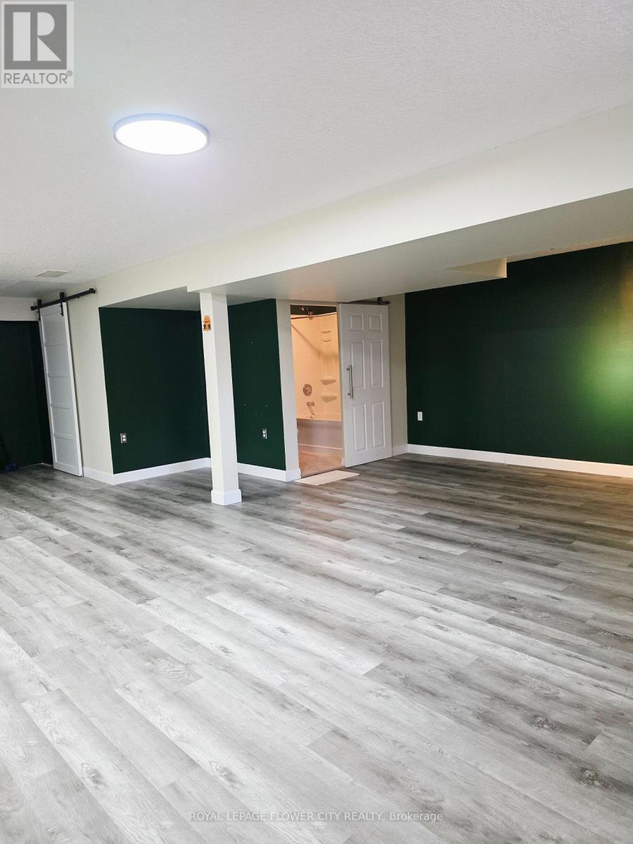 187 Huck Crescent W, Kitchener, Ontario  N2N 3P7 - Photo 23 - X12751194