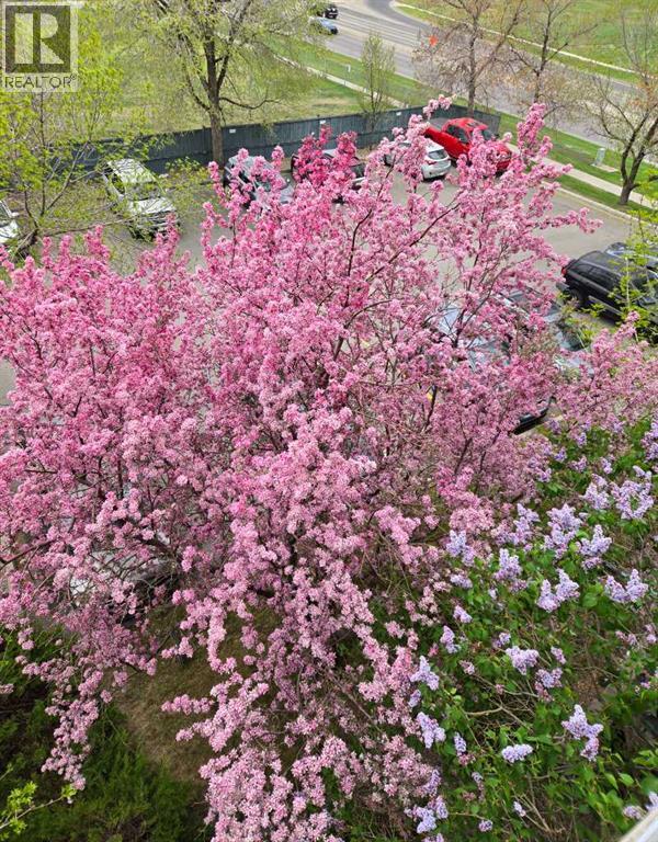 406, 11 Dover Point Se, Calgary, Alberta  T2B 3J8 - Photo 30 - A2267257