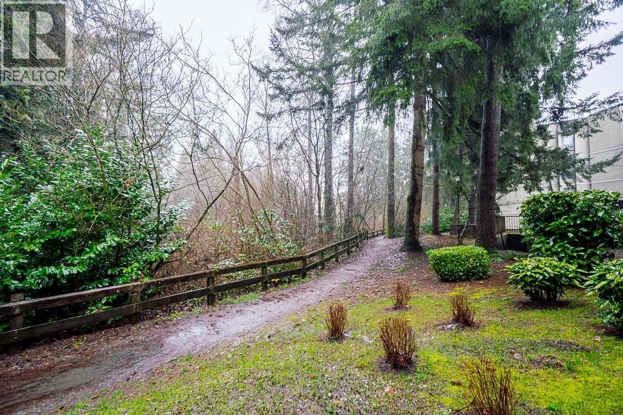 106 1200 Pacific Street, Coquitlam, British Columbia  V3B 6K2 - Photo 24 - R3083406