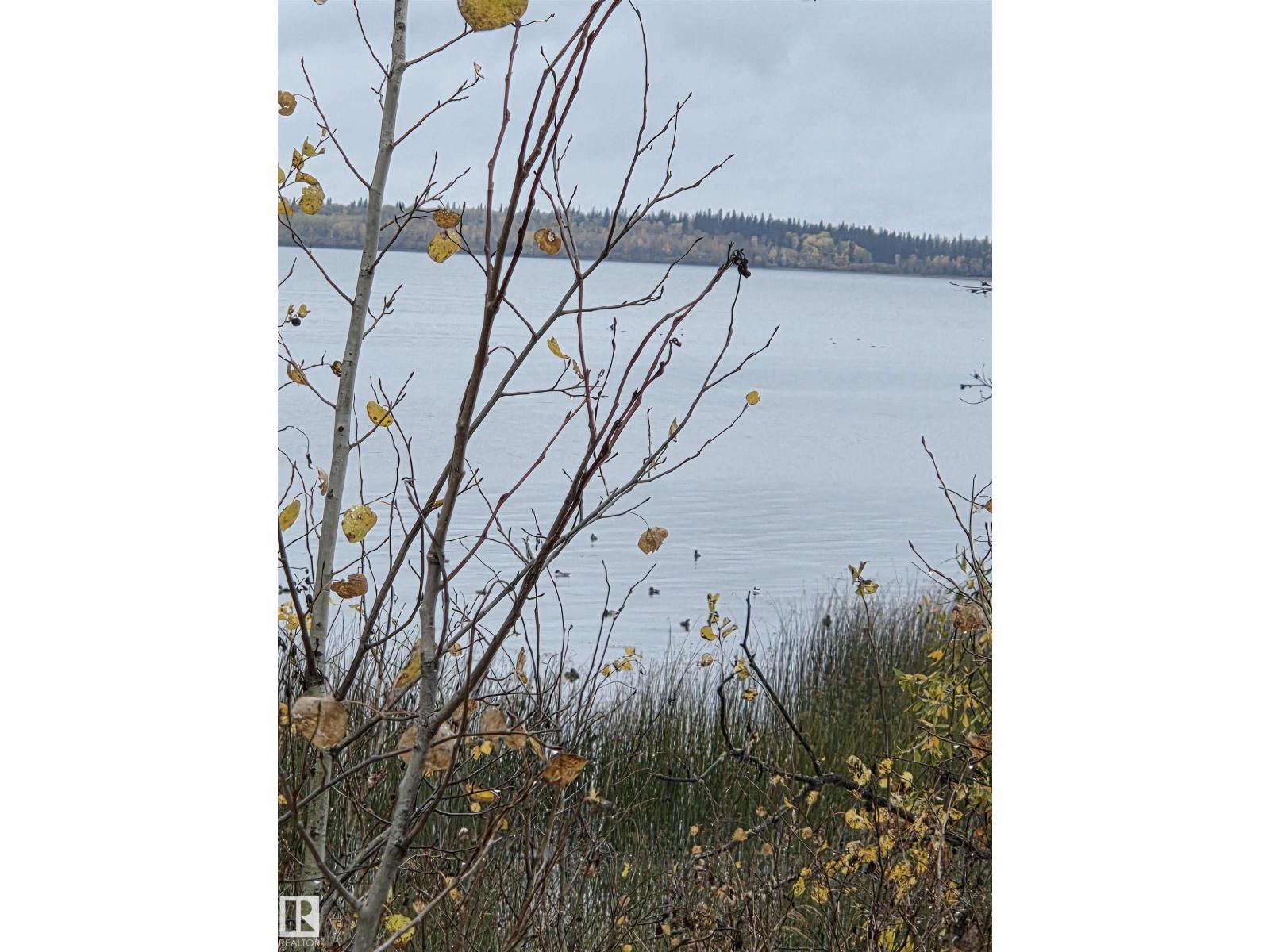 900 Pelican Rd, Rural Opportunity M.d., Alberta  T0G 2K0 - Photo 10 - E4470685