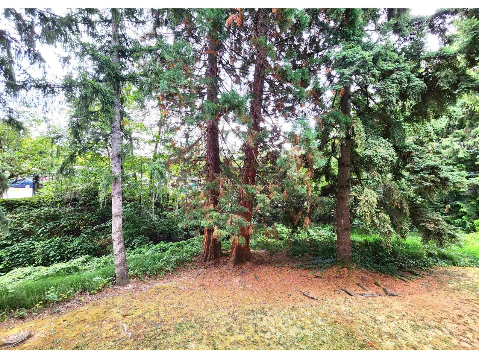 102 5664 200 Street, Langley, British Columbia  V3A 1M8 - Photo 20 - R3085574