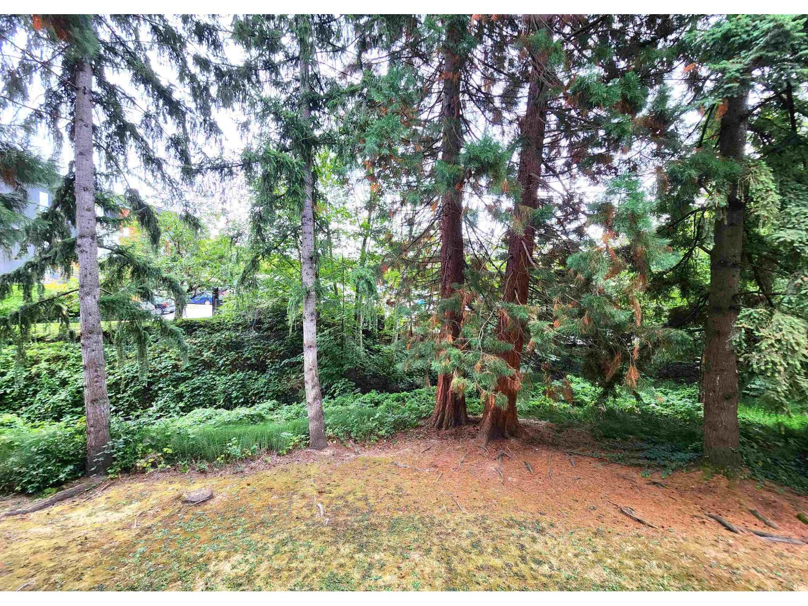 102 5664 200 Street, Langley, British Columbia  V3A 1M8 - Photo 21 - R3085574