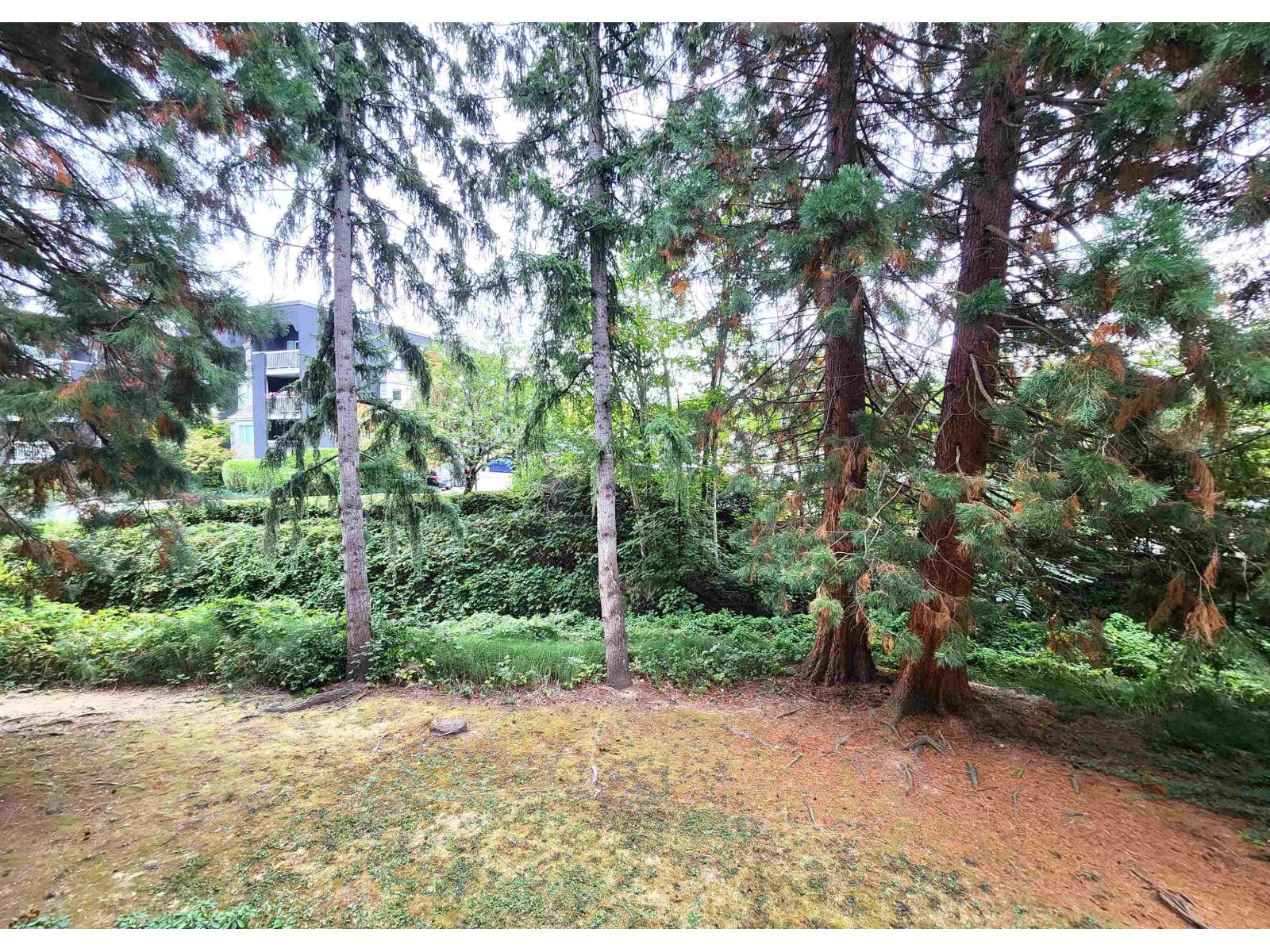 102 5664 200 Street, Langley, British Columbia  V3A 1M8 - Photo 19 - R3085574