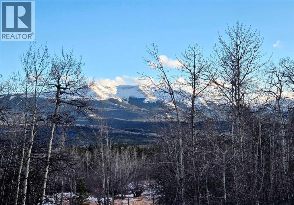 47 97 Avenue, Grande Cache, Alberta  T0E 0Y0 - Photo 10 - A2273972