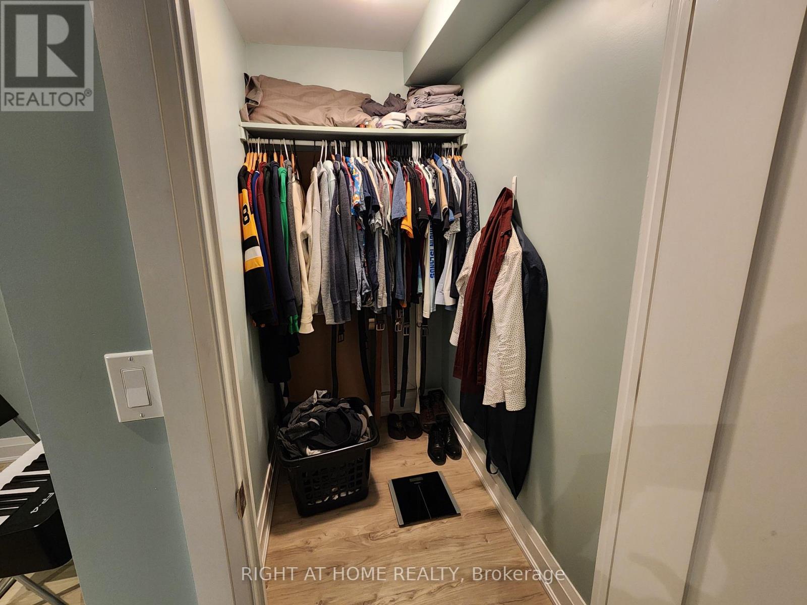 Lower - 1017 Bathurst Street, Toronto, Ontario  M5R 3G8 - Photo 8 - C12751676