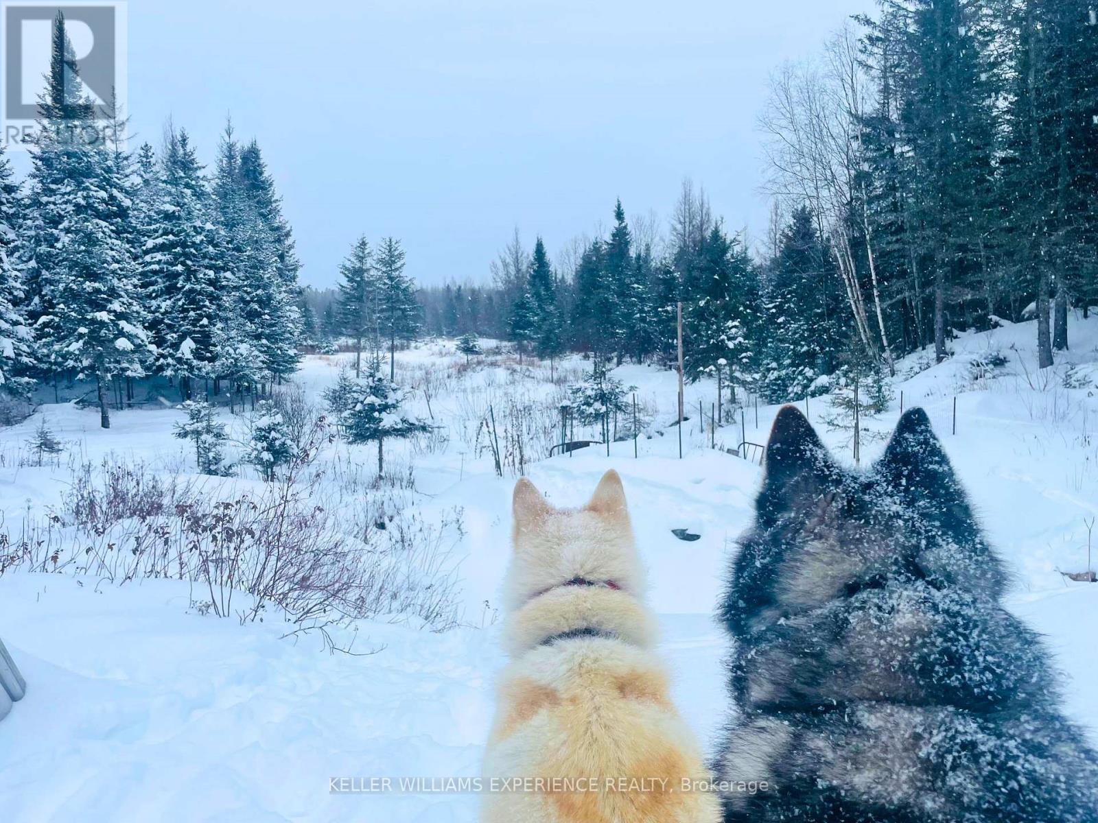 N/a Pcl 16114 Sec Sst & Pcl 16111 Sec Sst, Timiskaming, Ontario  P0K 1L0 - Photo 5 - T12359015