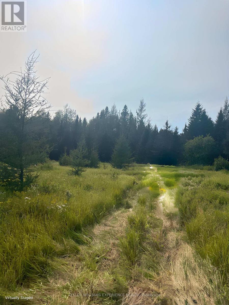 N/a Pcl 16114 Sec Sst & Pcl 16111 Sec Sst, Timiskaming, Ontario  P0K 1L0 - Photo 6 - T12359015