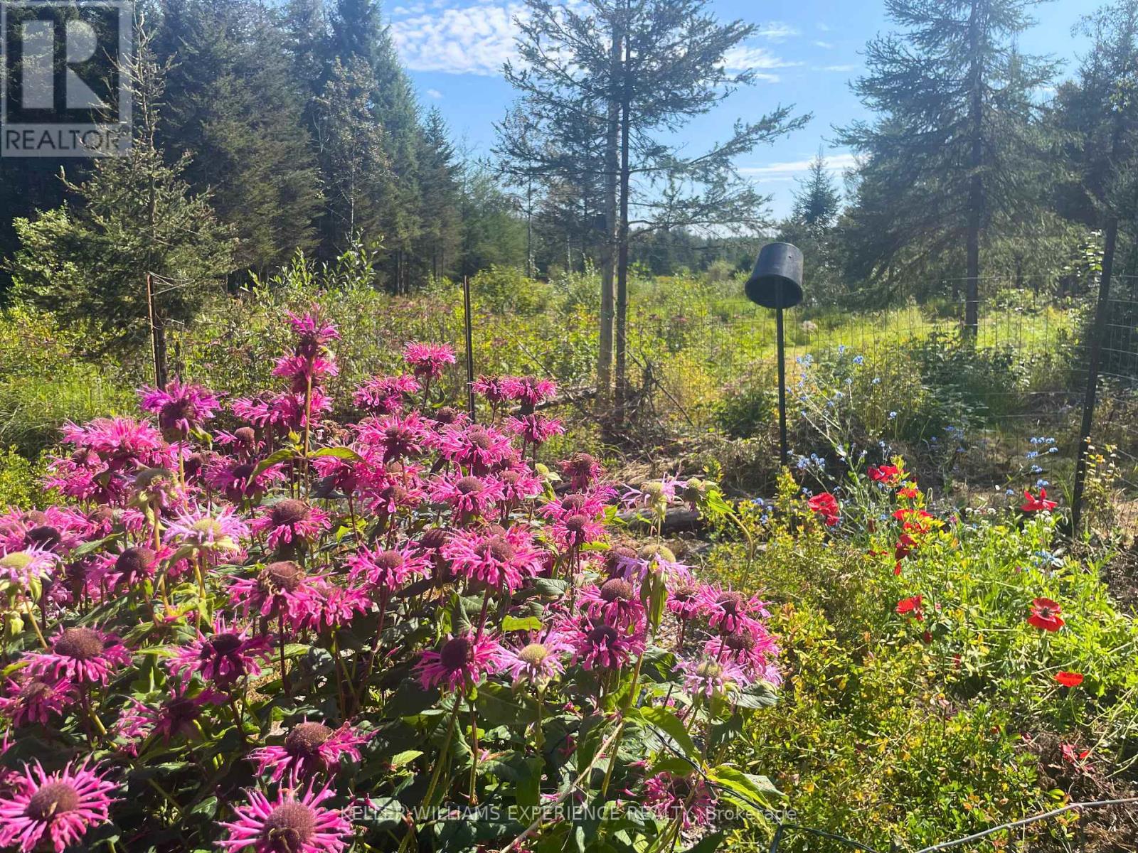 N/a Pcl 16114 Sec Sst & Pcl 16111 Sec Sst, Timiskaming, Ontario  P0K 1L0 - Photo 3 - T12359015