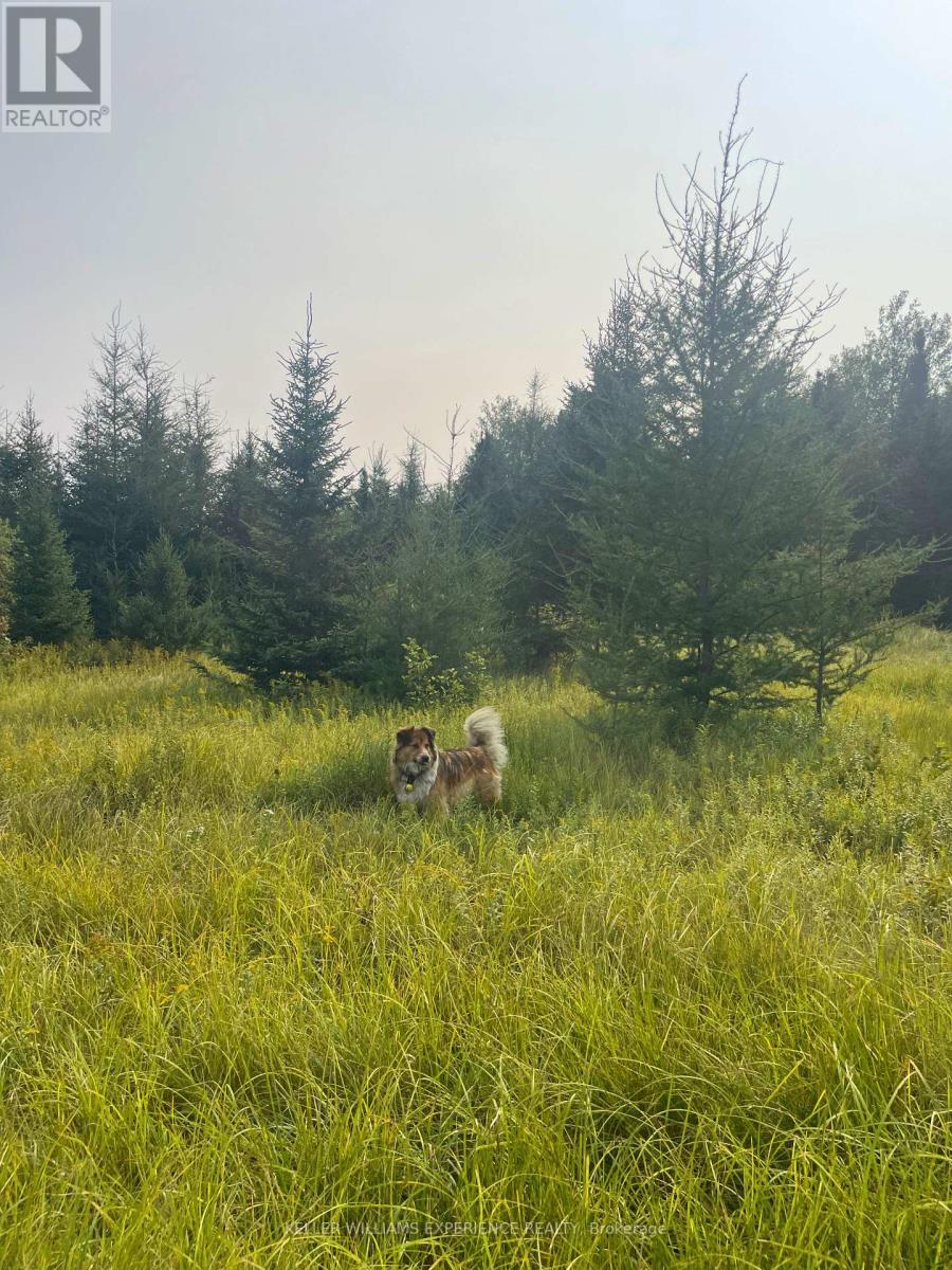 N/a Pcl 16114 Sec Sst & Pcl 16111 Sec Sst, Timiskaming, Ontario  P0K 1L0 - Photo 4 - T12359015