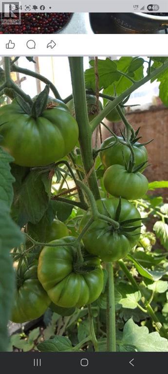 333033 Rge Rd 255, Rural Kneehill County, Alberta  T0M 2B0 - Photo 7 - A2278224