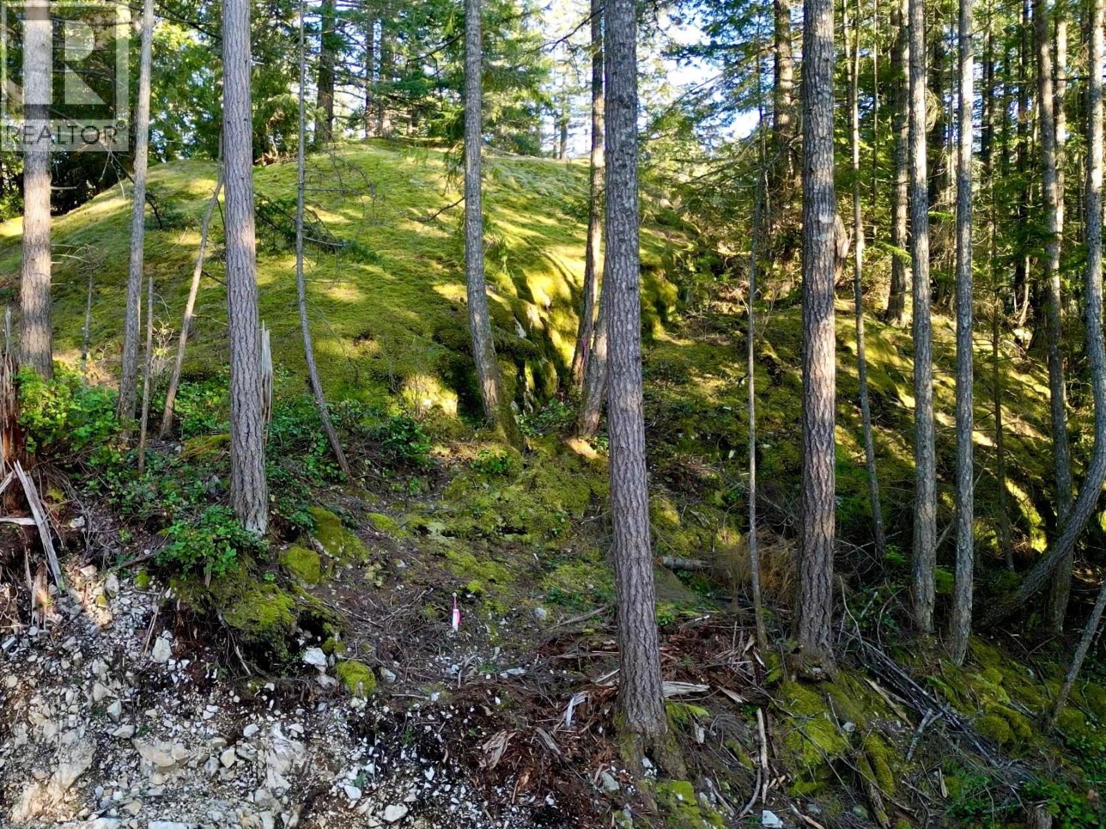 831 Windjammer Road, Bowen Island, British Columbia  V0N 1G2 - Photo 26 - R3085600