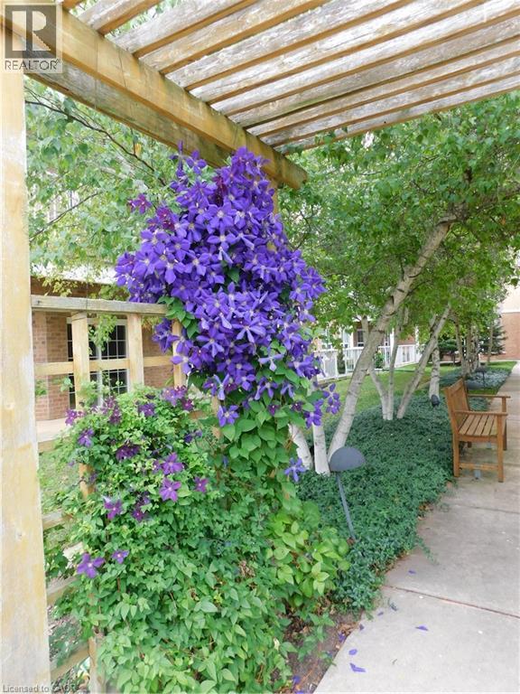 317 Lock Street W Unit# 215, Dunnville, Ontario  N1A 0A1 - Photo 10 - 40778416