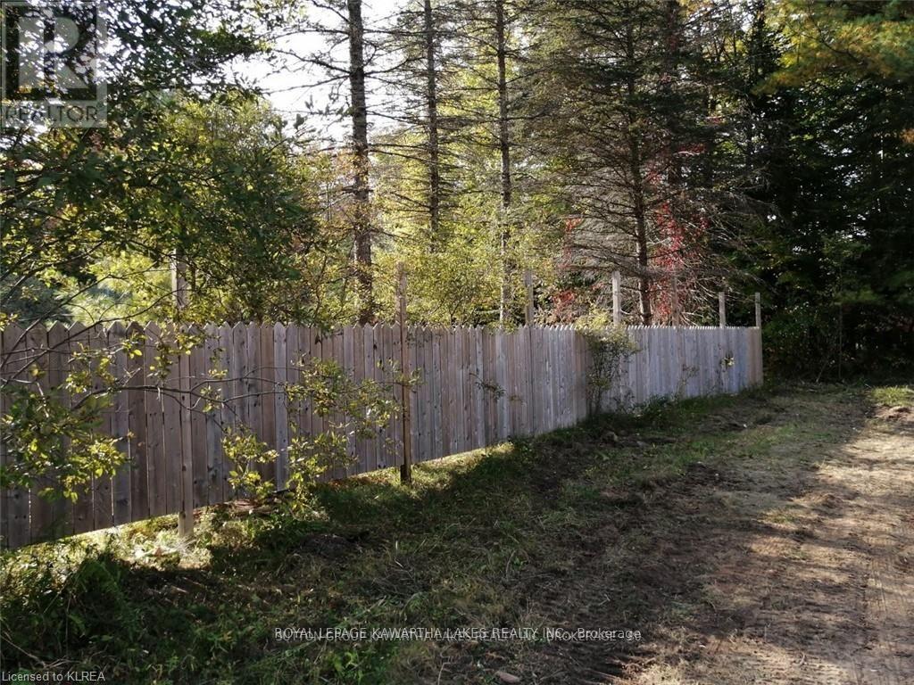 7545 Highway 35, Kawartha Lakes, Ontario  K0M 2L0 - Photo 2 - X12676178