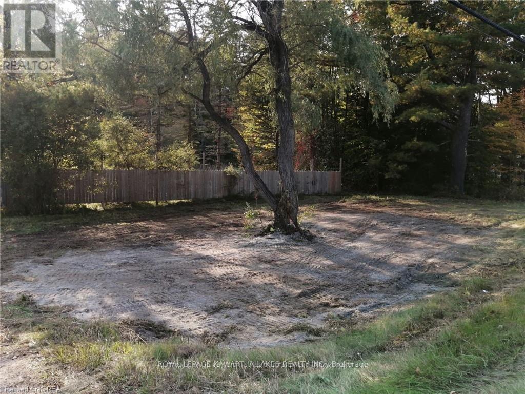 7545 Highway 35, Kawartha Lakes, Ontario  K0M 2L0 - Photo 3 - X12676178