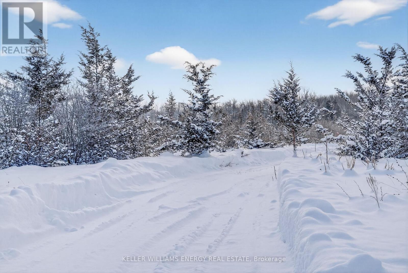 122 Ivy Ridge Road, Prince Edward County, Ontario  K0K 1T0 - Photo 12 - X12752110