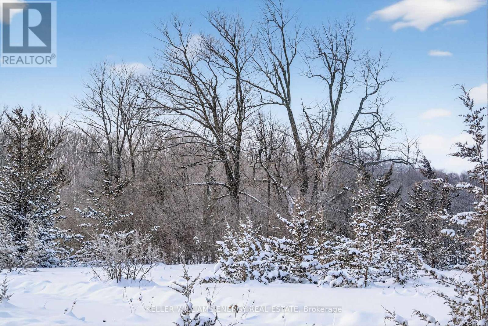 122 Ivy Ridge Road, Prince Edward County, Ontario  K0K 1T0 - Photo 14 - X12752110